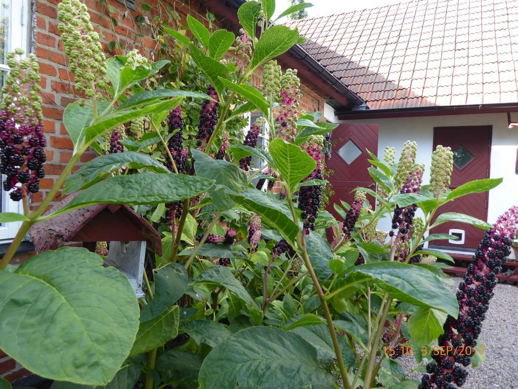 Akarpsvaegen Vacation Home トレレボリ エクステリア 写真